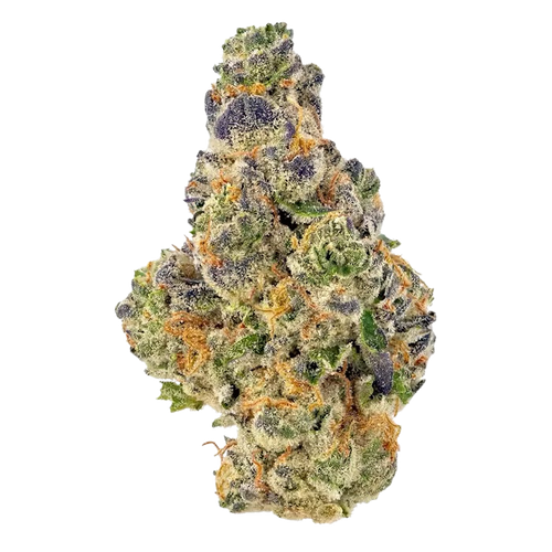 Peach Limeade Flower