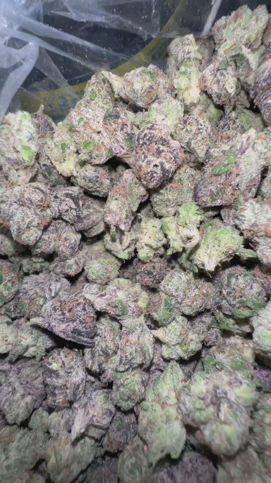 Blueberry Muffins Flower (smalls)